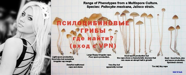 MDMA Premium VHQ Бородино